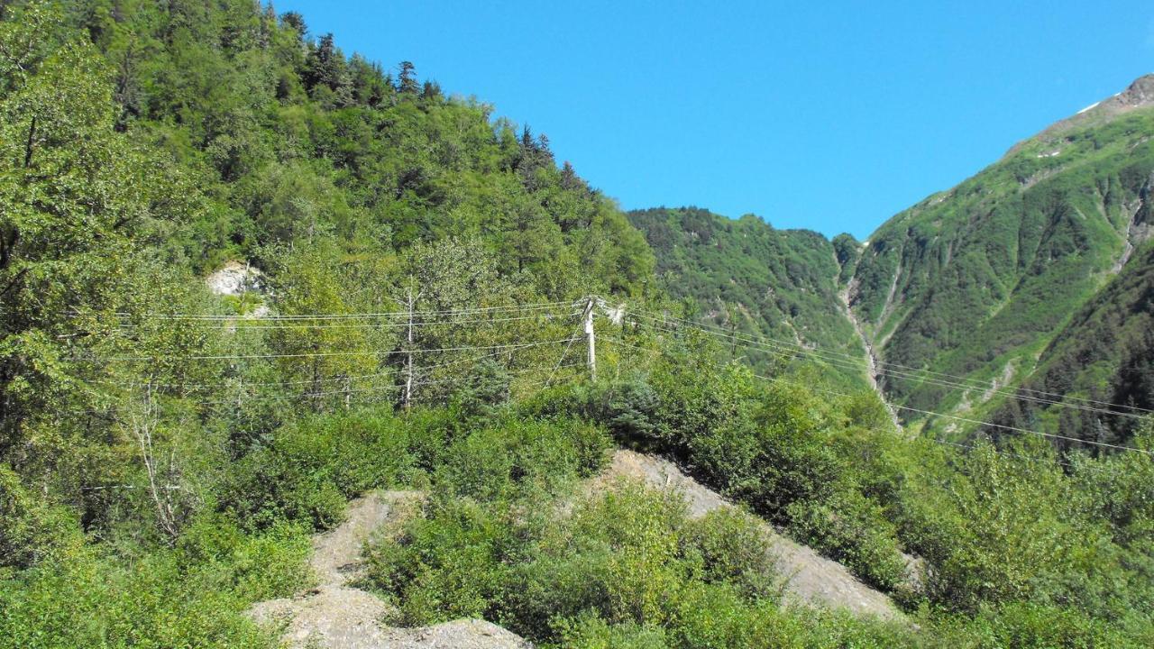 Kelli Creek Cottage - Reduced Price On Tours Juneau Dış mekan fotoğraf